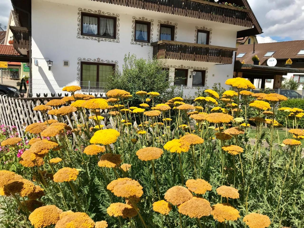 Hotel-Pension Zum Bierhaus Rötenbach Екстериор снимка